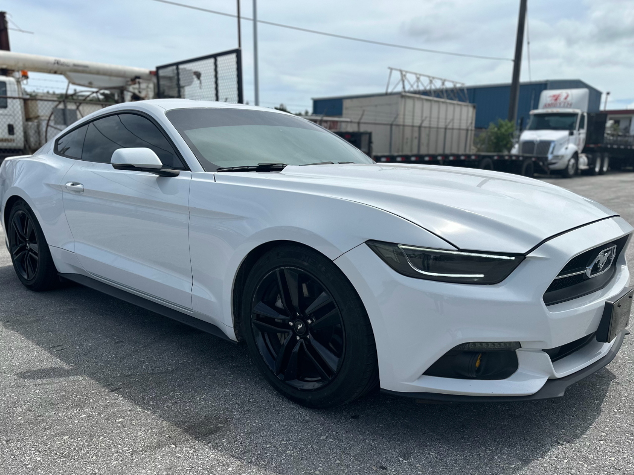 2015 Ford Mustang Preview 01