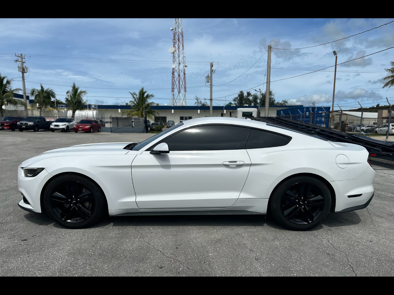 2015 Ford Mustang Preview 04